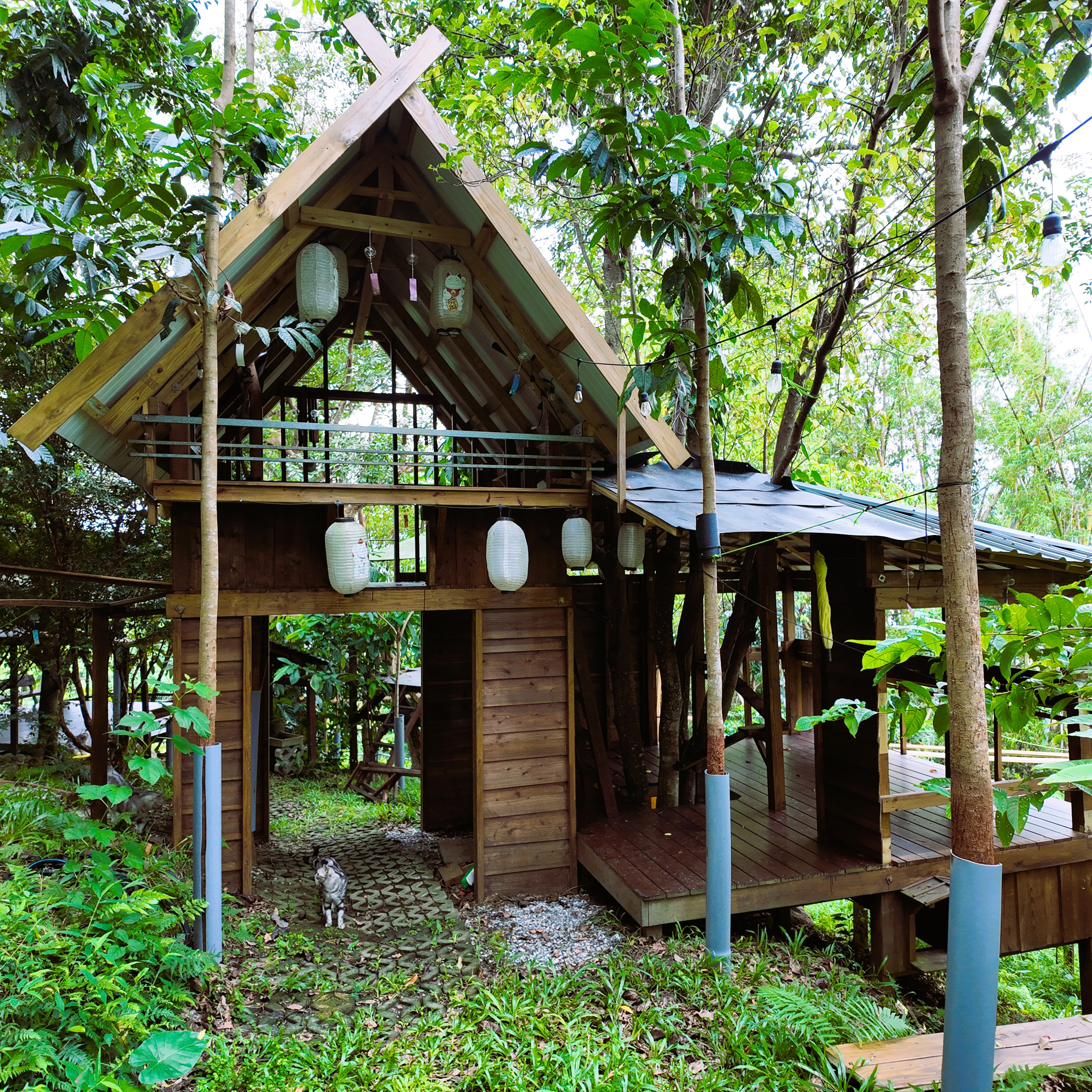 布布王國|森林裡的昭和木屋與空中貓道 1 森林中的尖屋頂木屋、燈籠與木造陽台,地面有一隻貓咪。